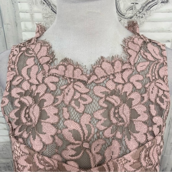 NEW Eliza J Siz 8 Blush Pink Sleeveless Lace Applique Illusion Sheath High Neck - Picture 4 of 9
